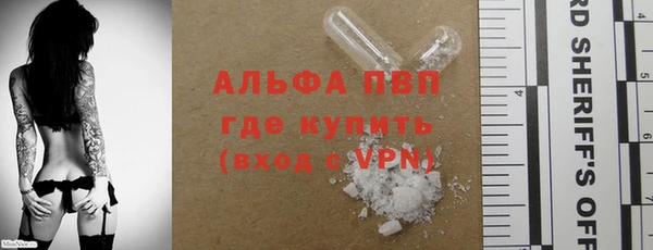 прущие грибы Наволоки