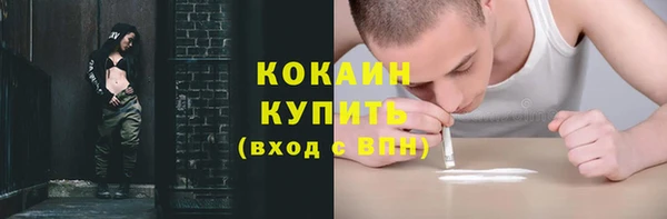прущие грибы Наволоки