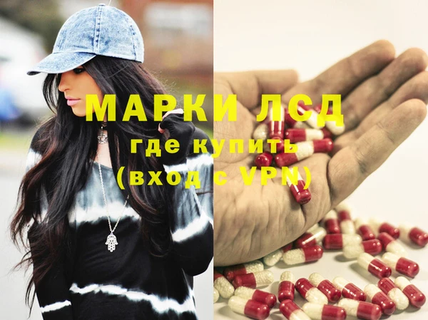 прущие грибы Наволоки