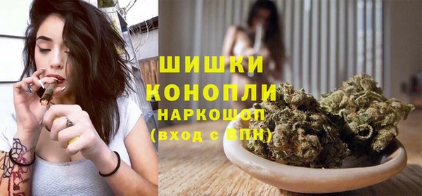 трава Белая Холуница