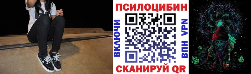 Купить закладки  Георгиевск  Галлюциногенные грибы мухоморы 